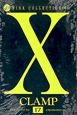 X 엑스 17