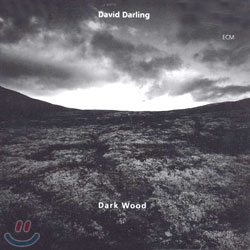 David Darling - Dark Wood
