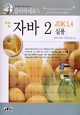 자바 2 JDK 1.4 실용