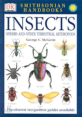 Insects: The Most Accessible Recognition Guide