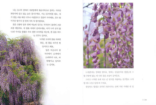 아름다운 사진과 이야기가 있는 풀꽃 이야기
