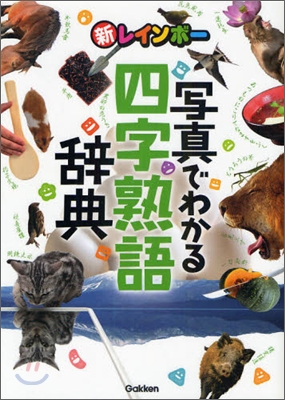 新レインボ- 寫眞でわかる四字熟語辭典