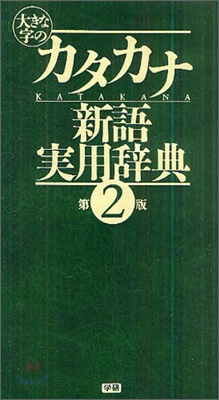 大きな字のカタカナ新語實用辭典