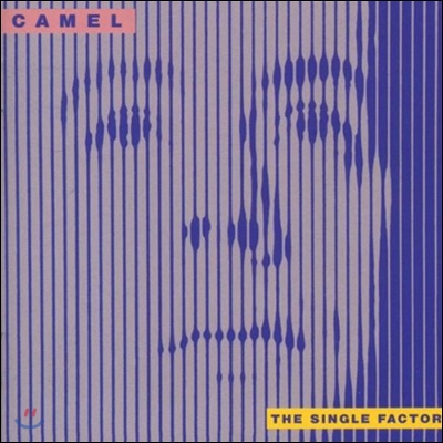 Camel - Single Factor 카멜