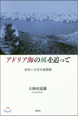 アドリア海の風を追って 余命二カ月の追想