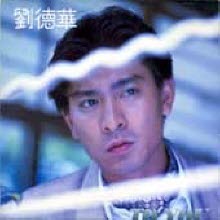 [LP] 劉德華 (유덕화, Andy Lau) - To You