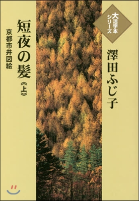 短夜の髮－京都市井圖繪－ 上