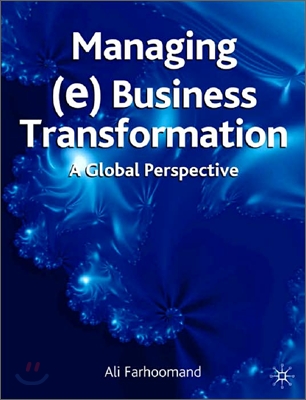 Managing (e)Business Transformation: A Global Perspective