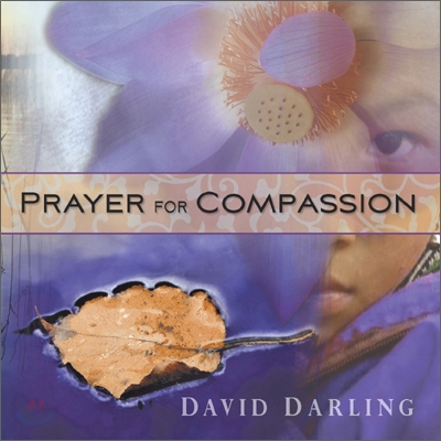 David Darling - Prayer For Compassion