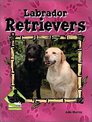 Labrador Retrievers