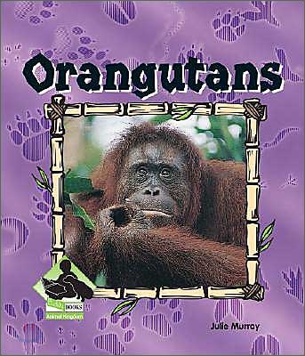 Orangutans