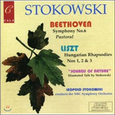 Leopold Stokowski 베토벤 & 리스트: 교향곡 6번 & 헝가리안 랩소디 (Beethoven: Symphony 6 / Liszt: Hungarian Rhapsodies) 레오폴드 스토코프스키