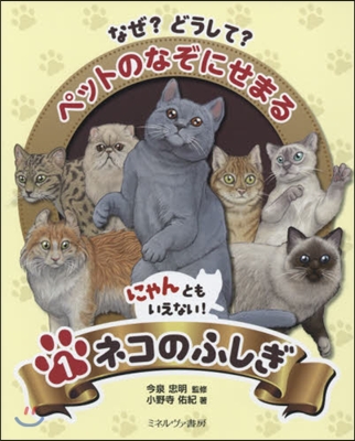 なぜ?どうして?ペットのなぞにせまる(1)にゃんともいえない!ネコのふしぎ