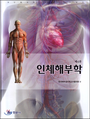 인체해부학