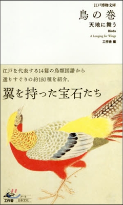 江戶博物文庫 鳥の卷