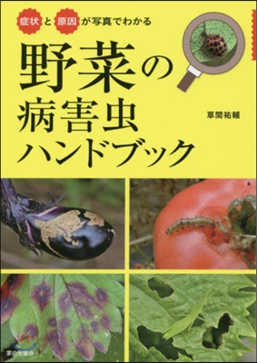 野菜の病害蟲ハンドブック