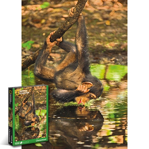 1000조각 직소퍼즐▶ 물마시는 침팬지 (CL39301)