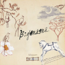 Big Mama(빅마마) - 4집 Blossom (Digital Disc/미개봉)