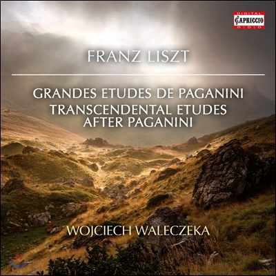 Wojciech Waleczek 리스트: 파가니니 초절기교 연습곡, 파가니니 대연습곡 (Liszt: Grandes Etudes de Paganini, Transcendental Etudes after Paganini) 보이체흐 발레체크