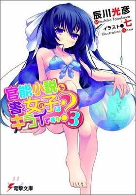 官能小說を書く女の子はキライですか?(3)