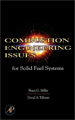 [염가한정판매] Combustion Engineering Issues for Solid Fuel Systems