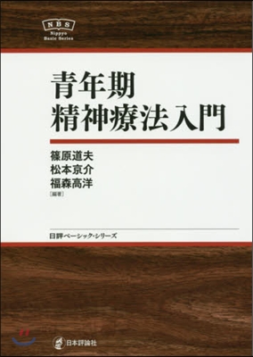 靑年期精神療法入門