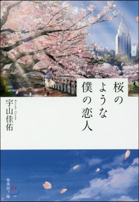 櫻のような僕の戀人