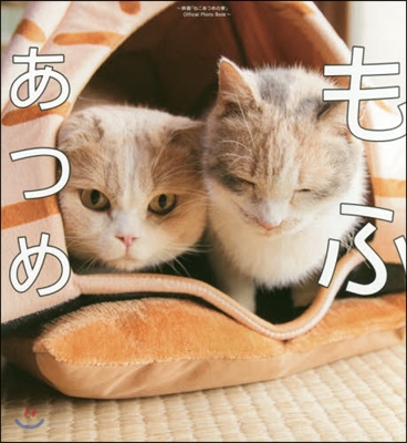 もふあつめ 映畵「ねこあつめの家」Official Photo Book