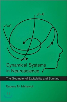 Dynamical Systems in Neuroscience: The Geometry of Excitability and Bursting