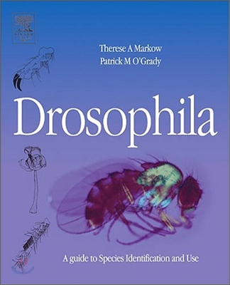 [염가한정판매] Drosophila