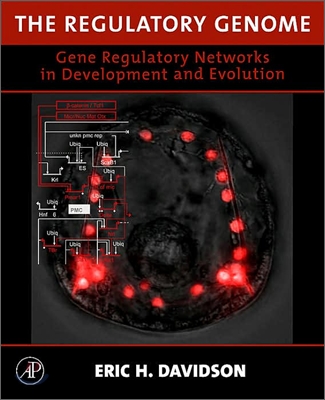 The Regulatory Genome: Gene Regulatory Networks in Development and Evolution