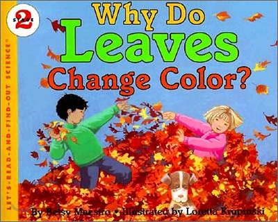 [중고] Why Do Leaves Change Color?