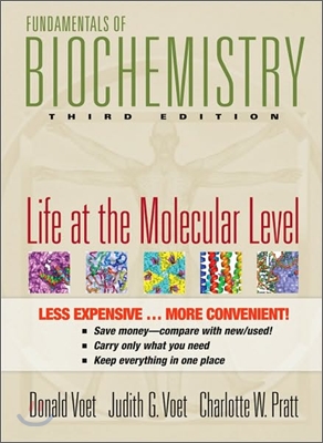 Fundamentals of Biochemistry