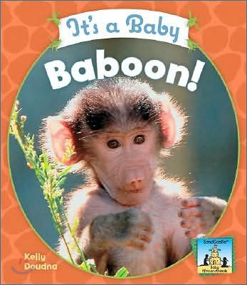 It&#39;s a Baby Baboon!