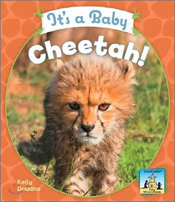 It&#39;s a Baby Cheetah!