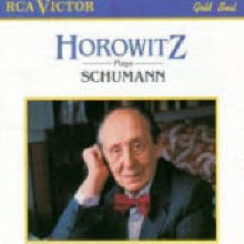 Vladimir Horowitz - Horowitz Play Schumann (수입/66802rg)
