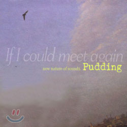 Pudding - If I Could Meet Again