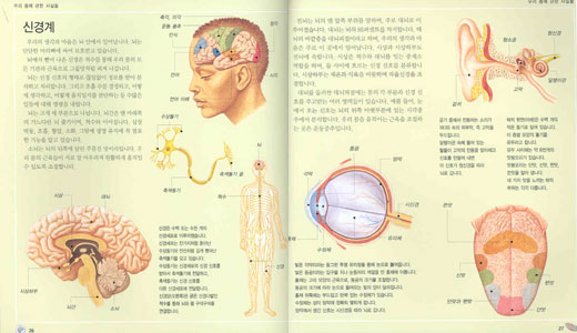 클로즈업! 우리 몸의 세계