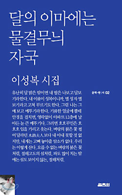 달의 이마에는 물결무늬 자국