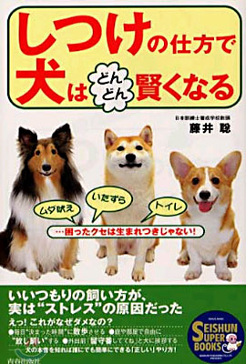 しつけの仕方で犬はどんどん賢くなる