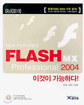 FLASH MX Professional 2004