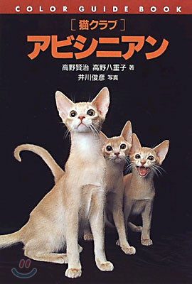 「猫クラブ」アビシニアン