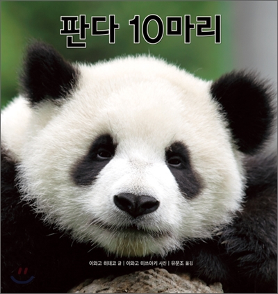 판다 10마리