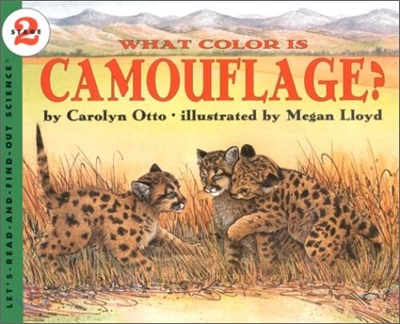 What Color Is Camouflage?