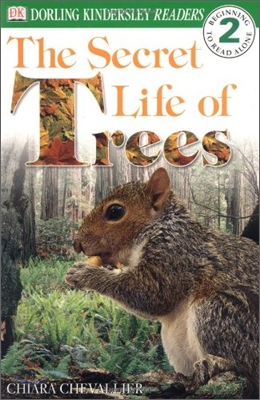 The Secret Life of Trees