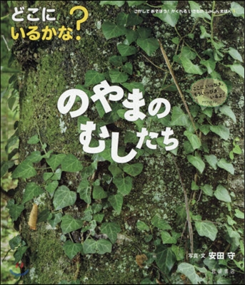 どこにいるかな?のやまのむしたち