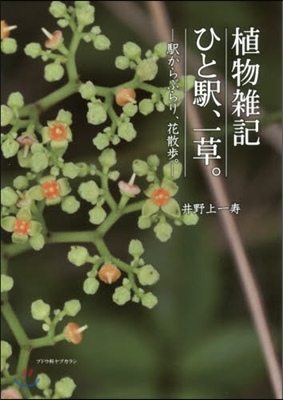 植物雜記 ひと驛,一草。 驛からぶらり,