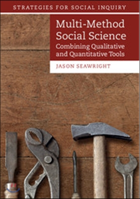 Multi-Method Social Science: Combining Qualitative and Quantitative Tools