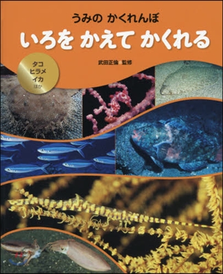 いろをかえてかくれる タコ.ヒラメ.イカ