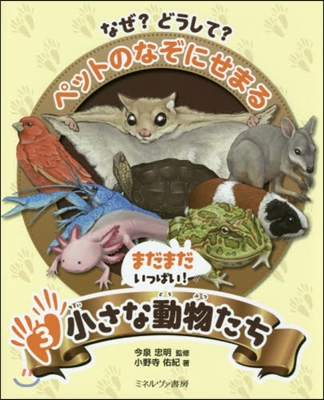 なぜ?どうして?ペットのなぞにせまる(3)まだまだいっぱい!小さな動物たち